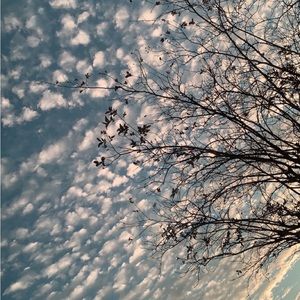 Meet your Posher, Angelina